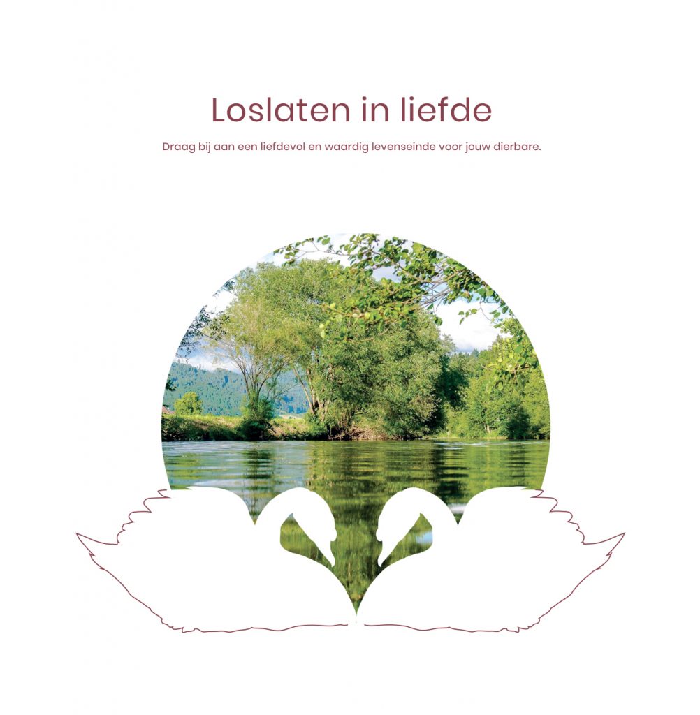 Loslaten in Liefde - online training Marian Sterke